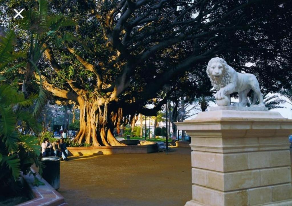 The Terrace Canalejas Alicante Ngoại thất bức ảnh